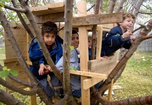 Kids-tree-house