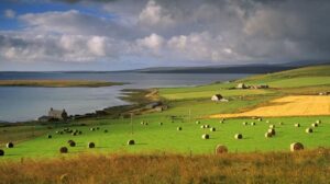 orkney farmland