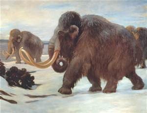 blog wooly mammoth
