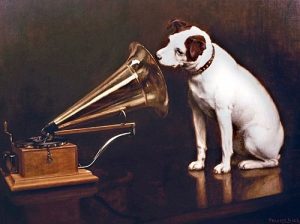 small dog looking at bell of a gramophone 