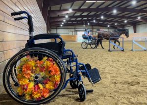 wheel chair in the foreground with flowers entwined in the wheel. Horse drawing a carriage in the background