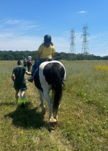 piebald mare, a child in the saddle, being led across a field with power lines in the background